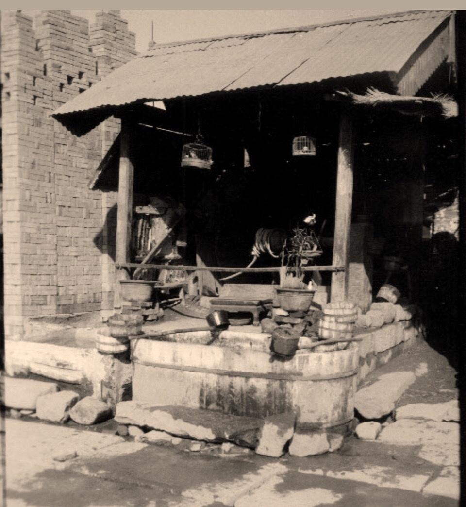 日军当着国军的面杀俘虏,日军侵华兽行