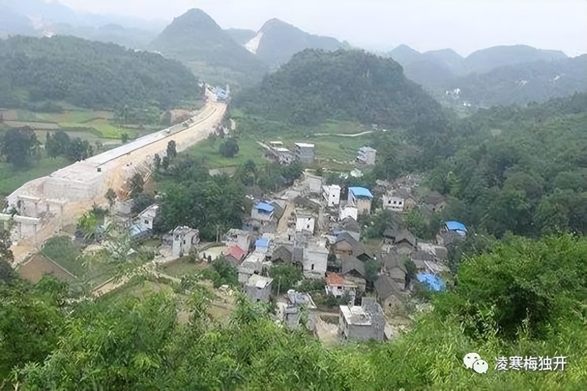 我的奇趣岁月——小学