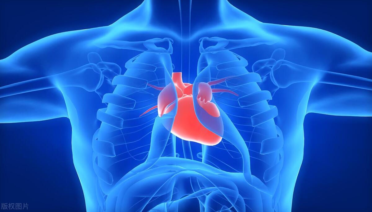 一般心跳达到多少会导致心跳停止,心跳快怎么缓解心跳一分钟多少次