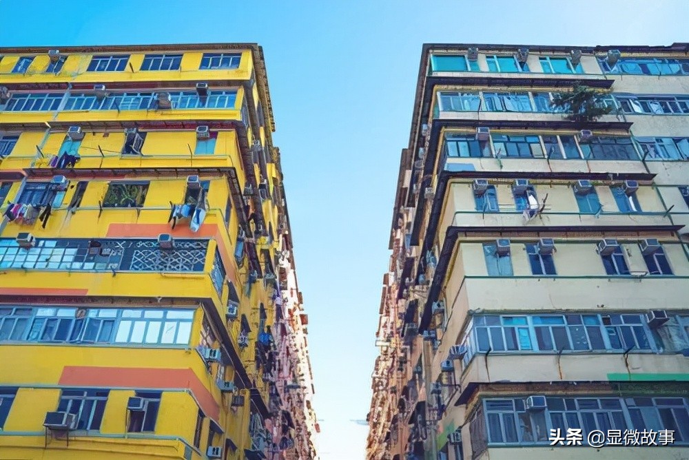 跟风裸辞后我彻底成了社会隐形人,裸辞之后我成为了一名自由职业者