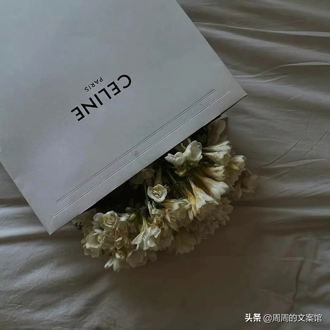 朋友圈励志签名文案高级感,阳光签名文案高级感