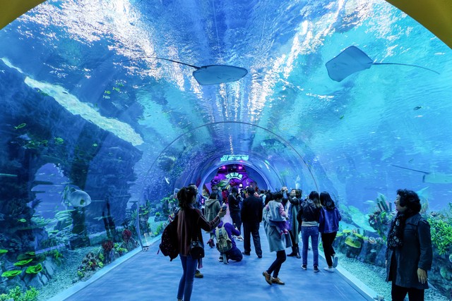 江苏常州十大旅游景点,江苏十大特色景点