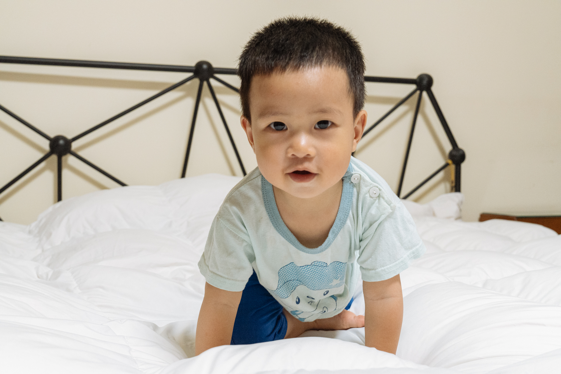 羽绒被哪款保暖最好,羽绒被鹅绒被哪个保暖好