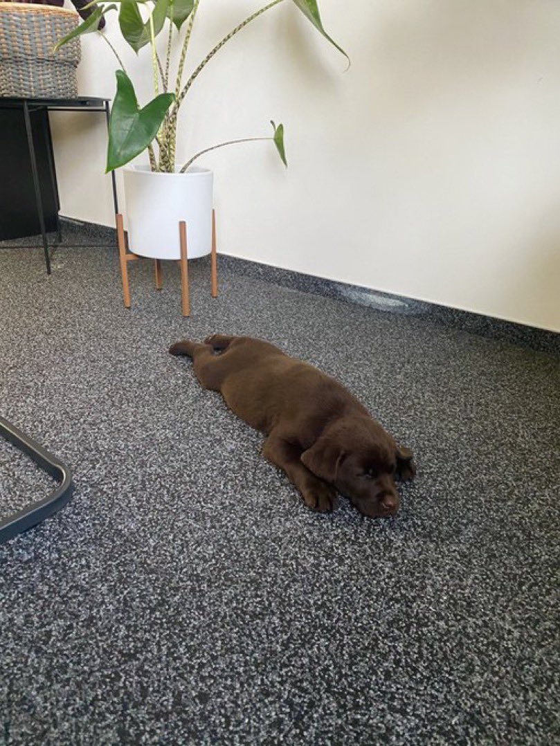 缇庡浗灏忓摜鐐硅瘎瑙嗛,缇庡浗灏忓摜鐐硅瘎