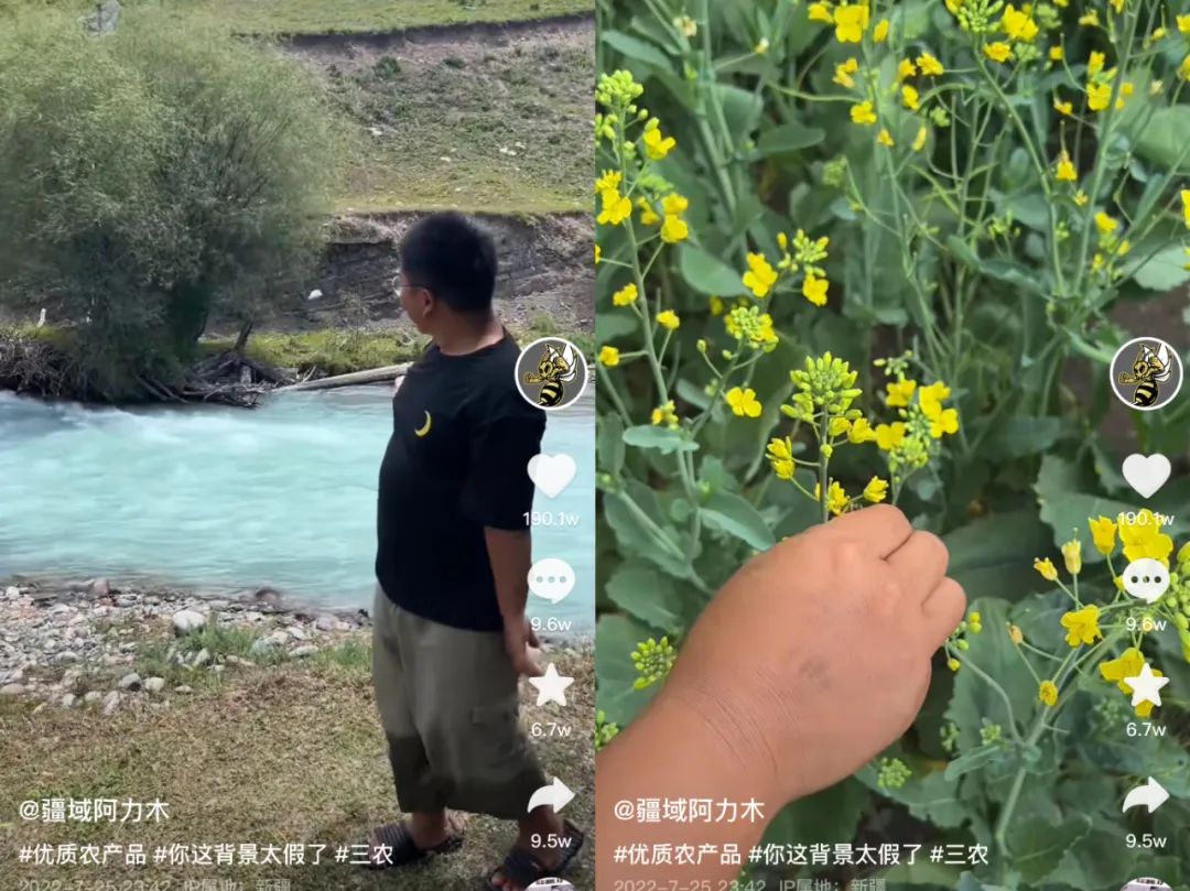 三农博主疆遇阿力木,新疆网红阿力木怎么关注