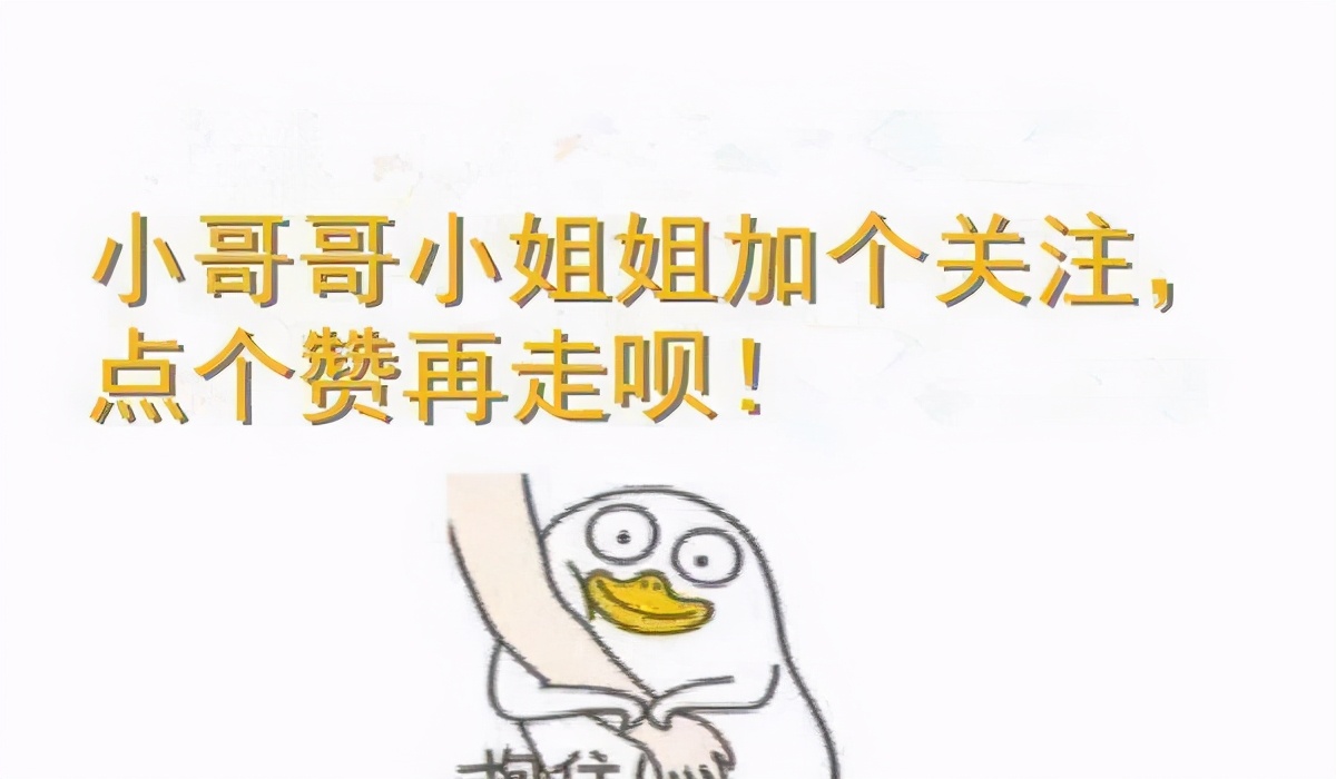 小公猫绝育有什么注意事项,绝育猫知识科普