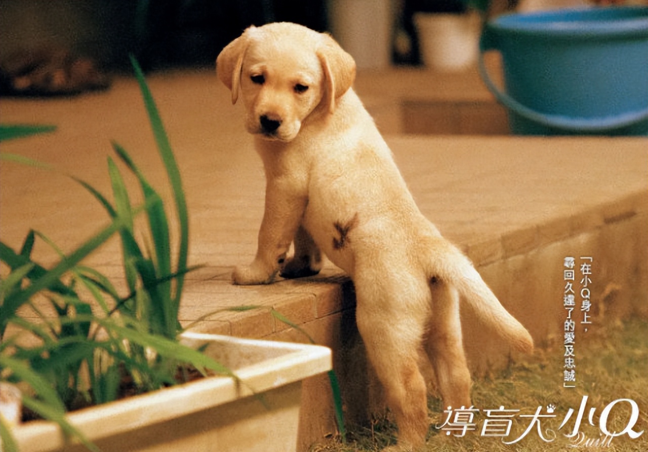 知名名演员离世一路走好,一路走好著名演员在睡梦中离世