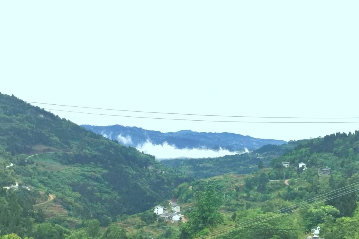 夏季重庆周边避暑,重庆附近避暑旅游2-3天推荐地方