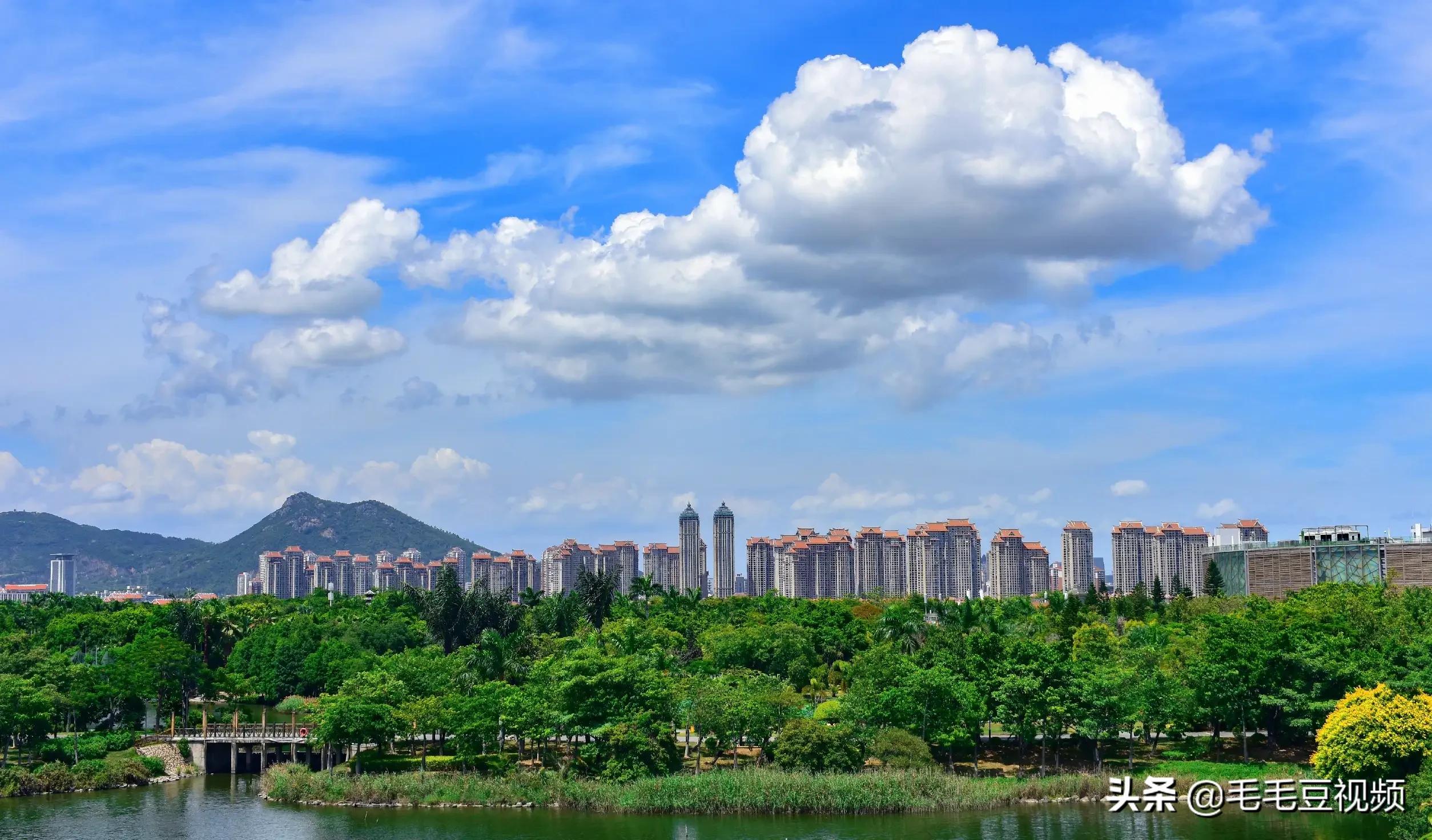 厦门适合初次约会的景点,厦门约会免费景点攻略图