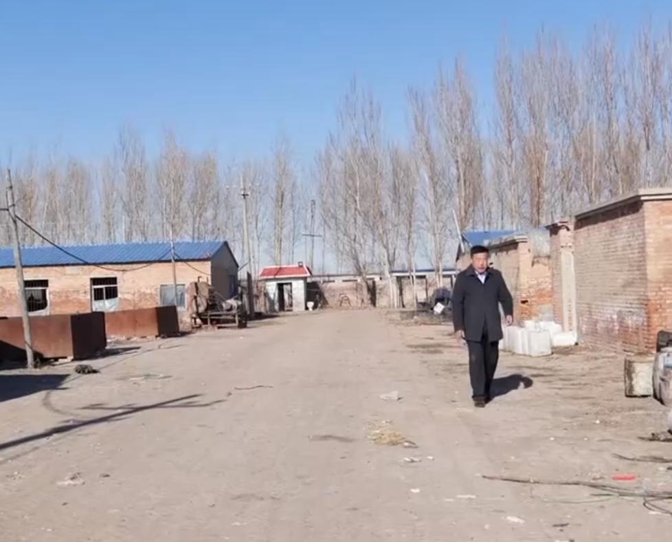 养鹅3000只被拐走,东北大爷养大鹅被大雁拐走3000只