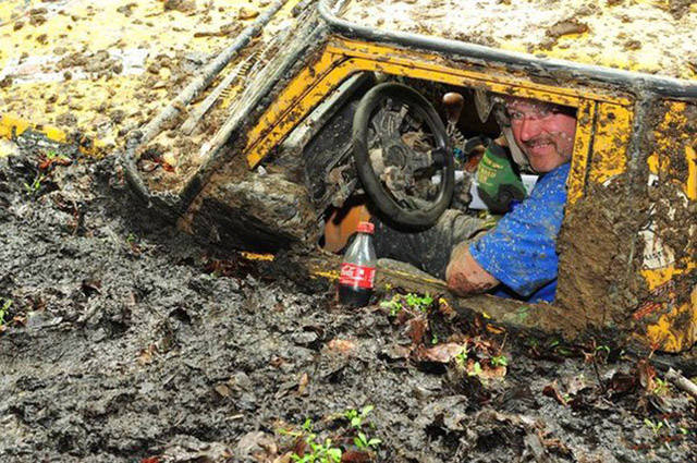 第一个用无人机拍到的鲸鱼,鲸鱼萤火虫