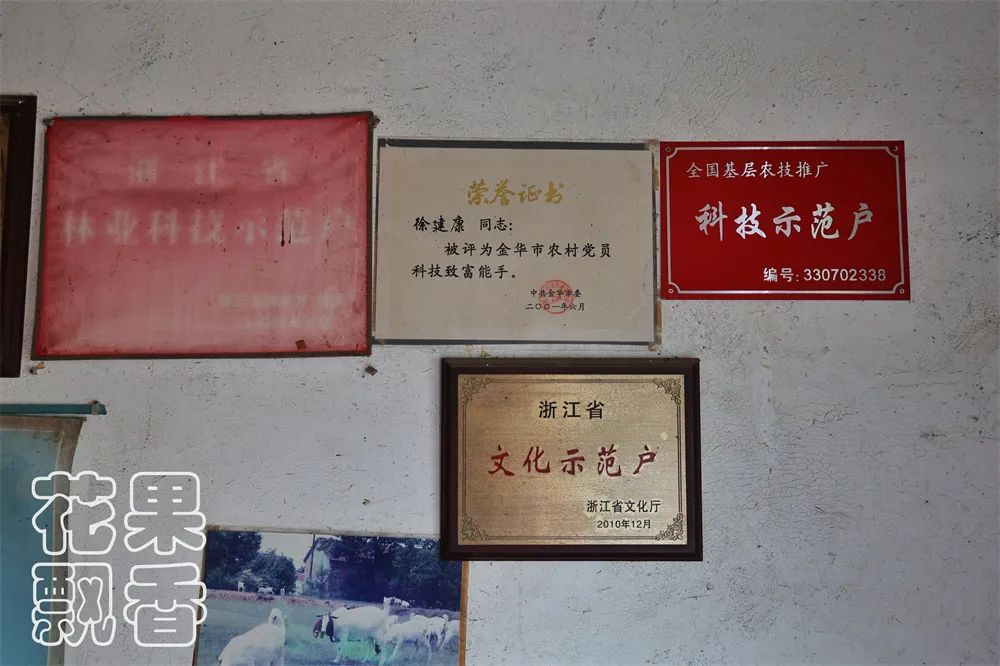 老农告诉大家农作物种植,农资人对农户的忠告