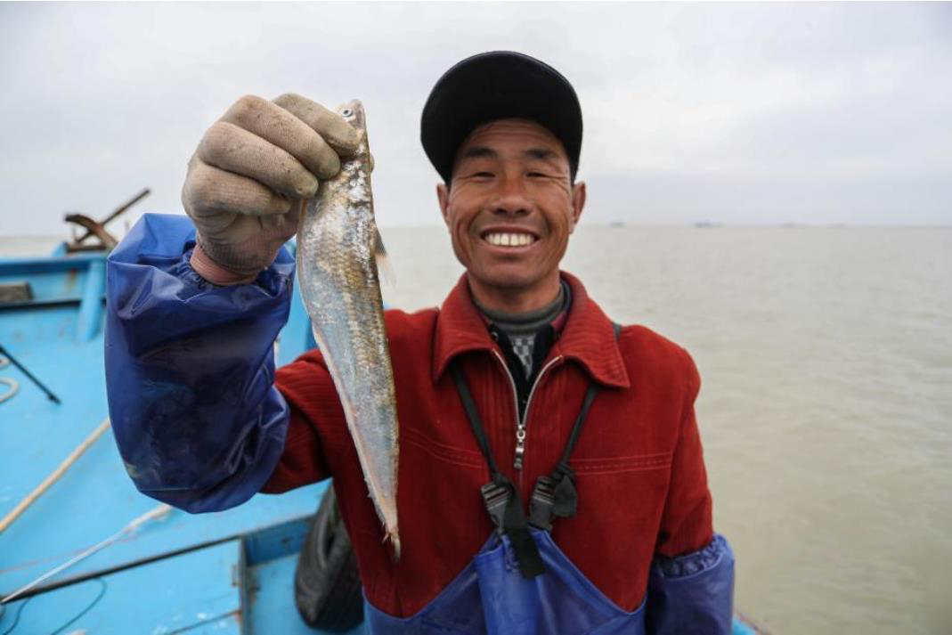 长江十年禁渔江豚动画,长江禁渔十年是为了江豚吗