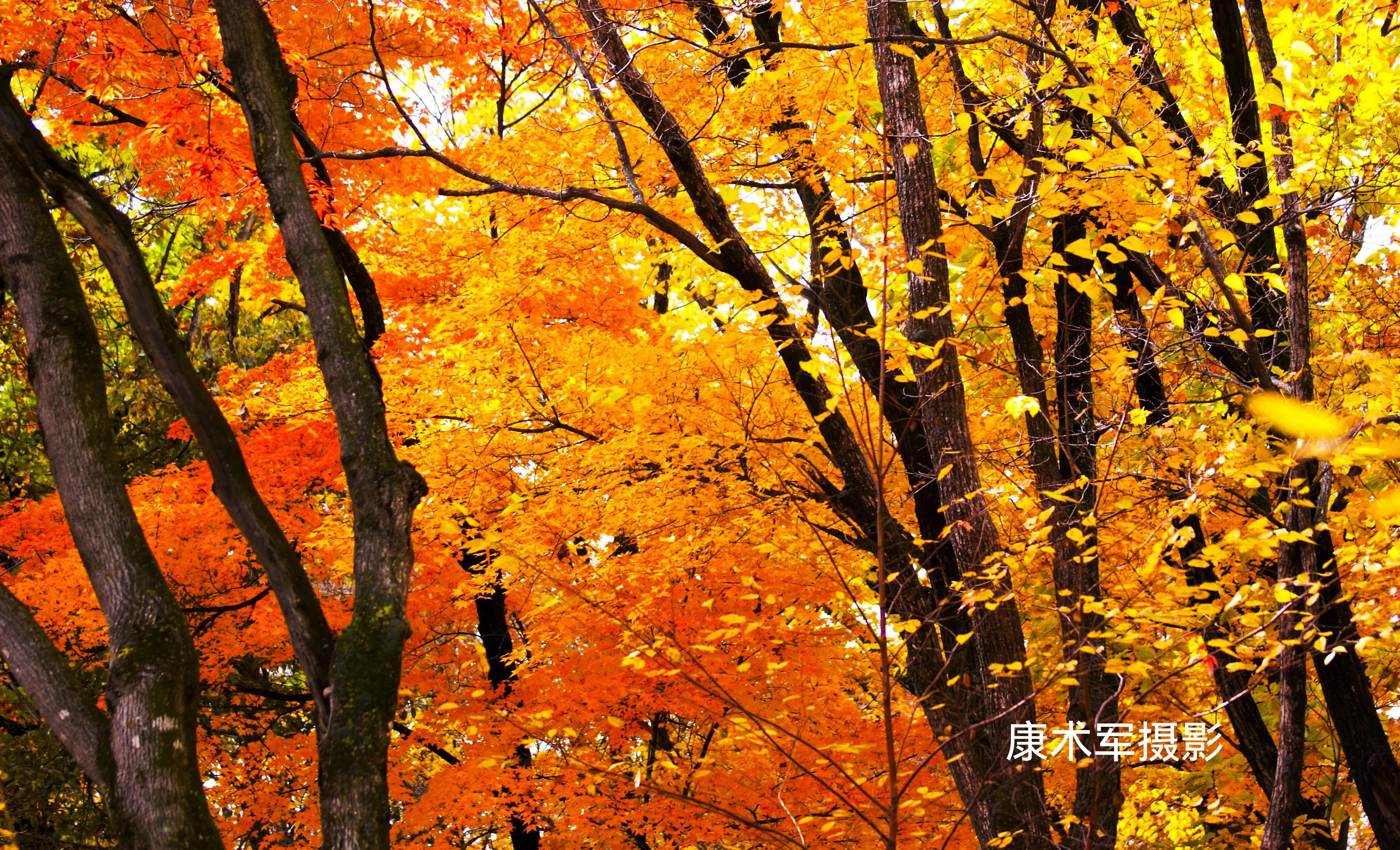 康术军话题:层次的“高低”与划分