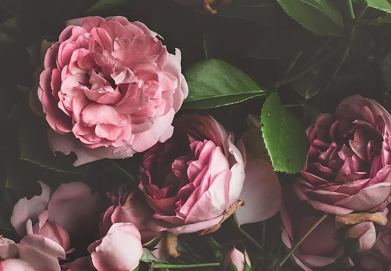 如果婚后发现自己不爱他了怎么办,婚姻没有对错离婚就要学会放手