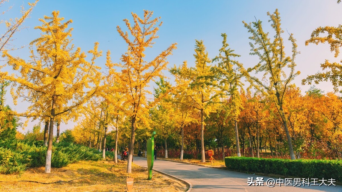 宗筋不坚是哪里出了问题,宗筋不充是什么原因导致的