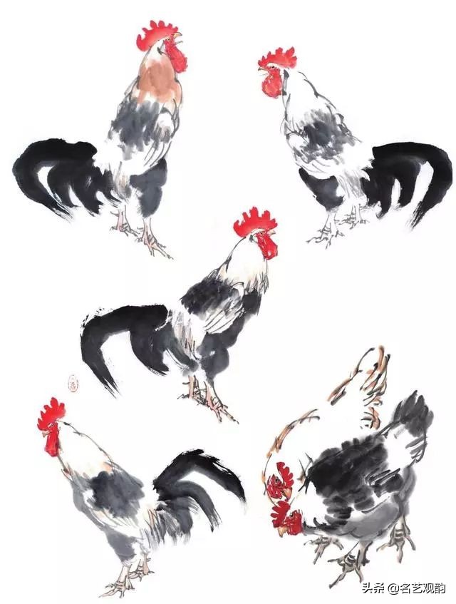 十二生肖鸡画法步骤,鸡的画法简笔画步骤