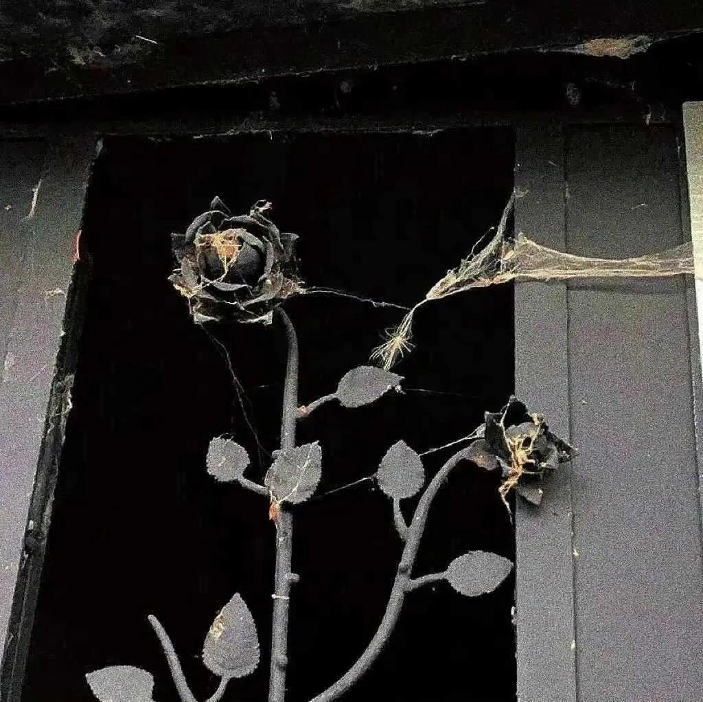 支撑你度过漫漫长夜励志文案,关于时间太快的励志文案