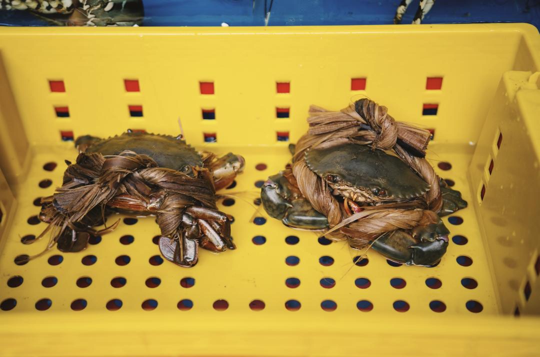 划算实惠的岛,深圳海边度假酒店