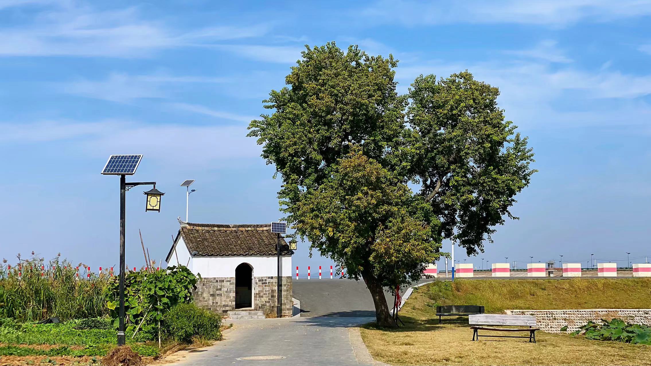 江苏规划一座大桥全长37公里,江苏在建一条大桥