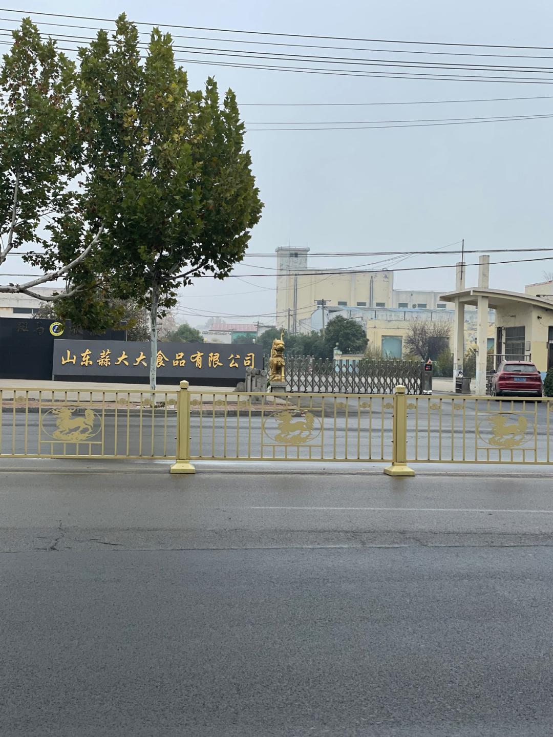 董董骑行山东,山东菏泽巨野县怎么样