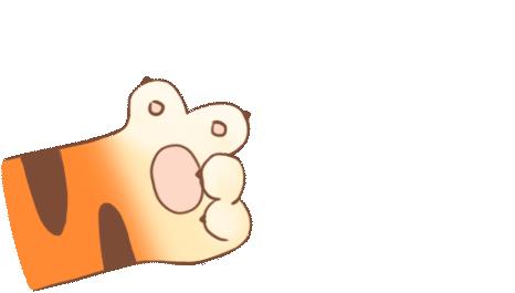 宠物检测弓形虫,养宠知识狗狗生病