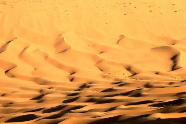 原来*疆新**这么大？终于知道为啥不包邮了...