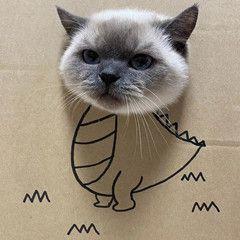 京东专卖店入驻条件费用多少,京东二手拍拍入驻条件和费用