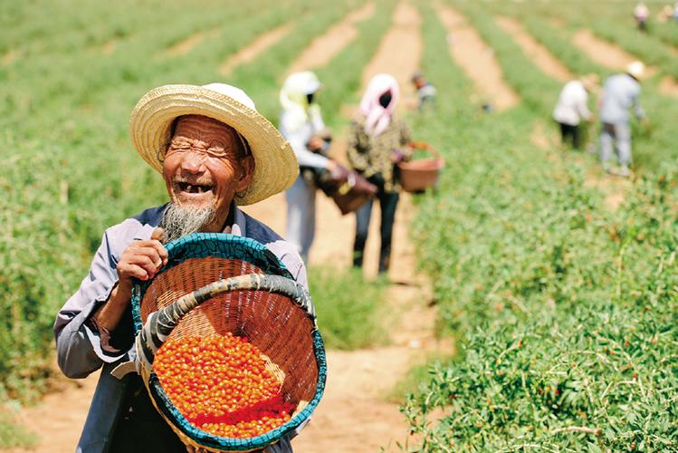 贫困地区农业发展现状,扶贫农业发展前景