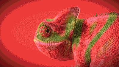 具有变彩效应的宝石有哪些,宝石特殊光学效应是什么