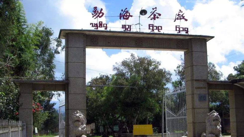 茅台酒和大益茶,茅台与大益茶