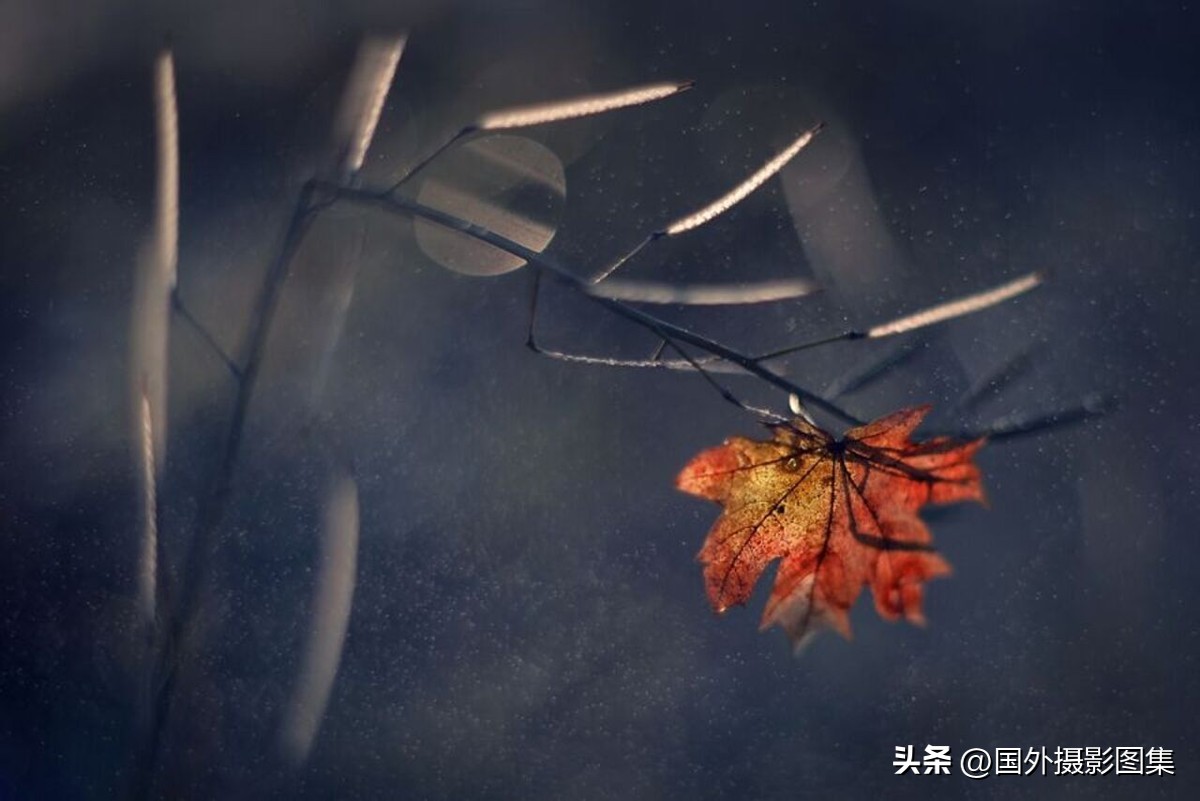 秋天最美大自然图片,春天最美的三十六张照片