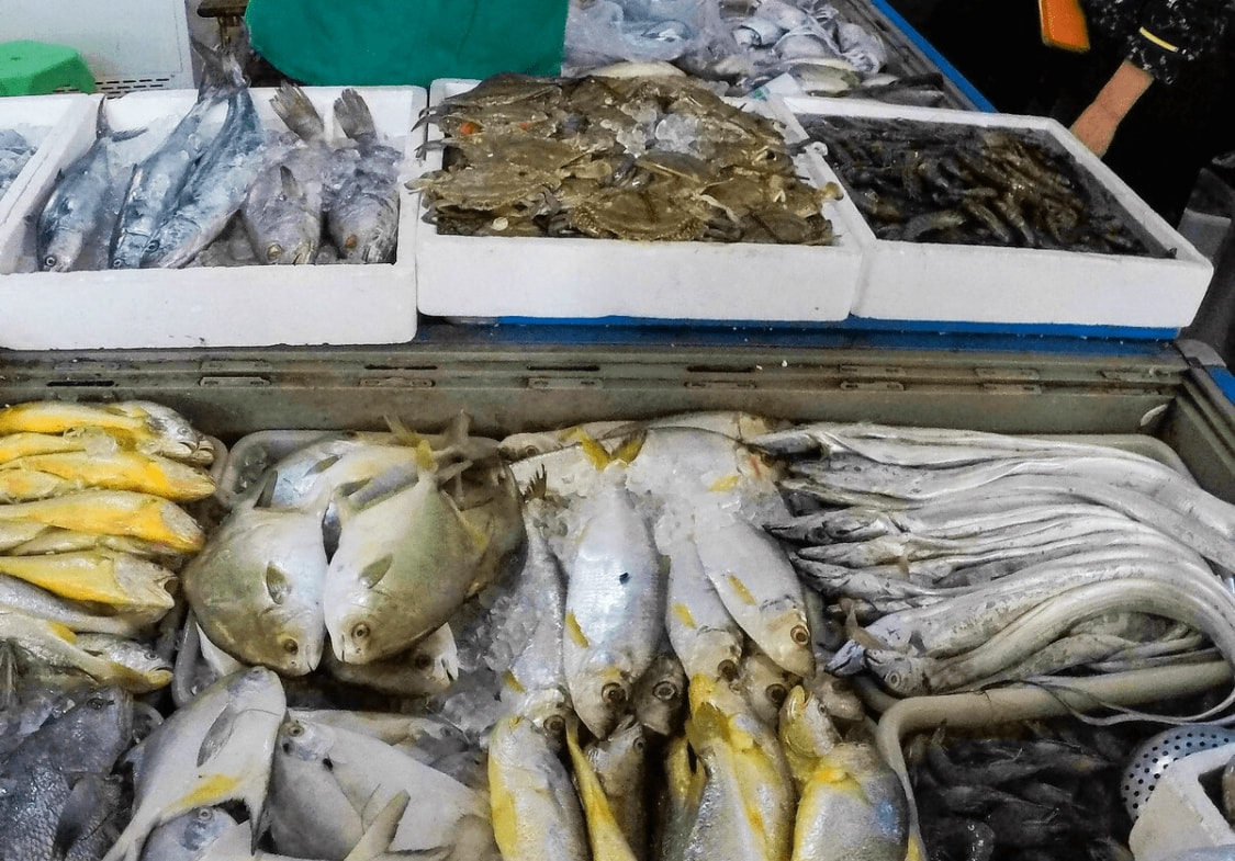 肉厚刺少又扁的海鱼,海鱼哪个品种刺少肉厚