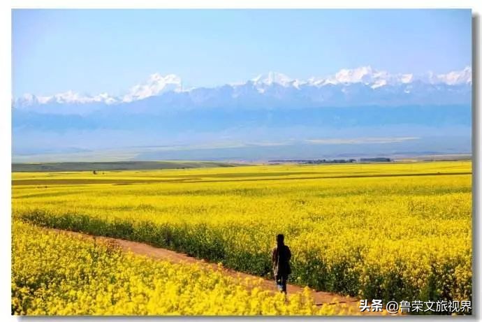 大美新疆的风景有哪些,大美新疆北疆美