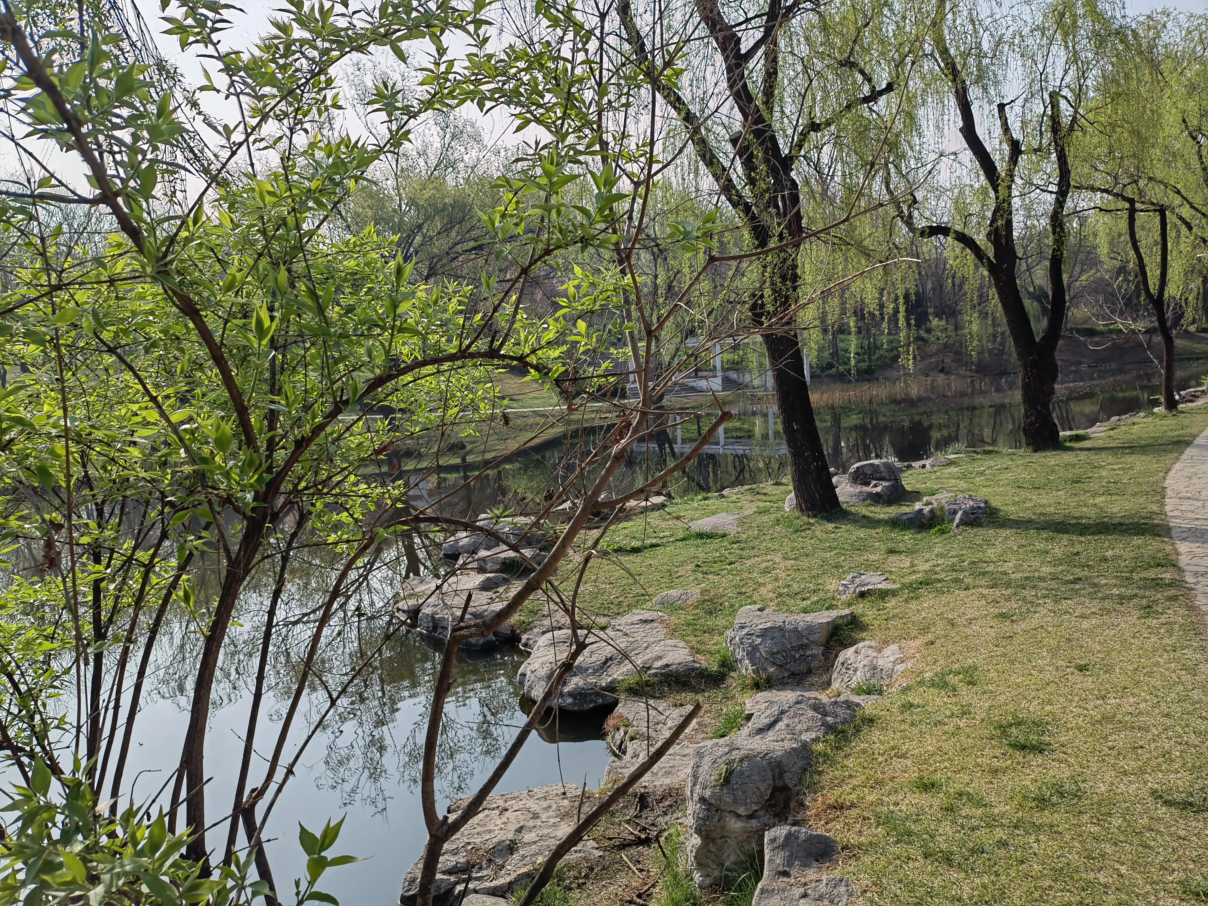 七律春曲全文,七律春柳外五首