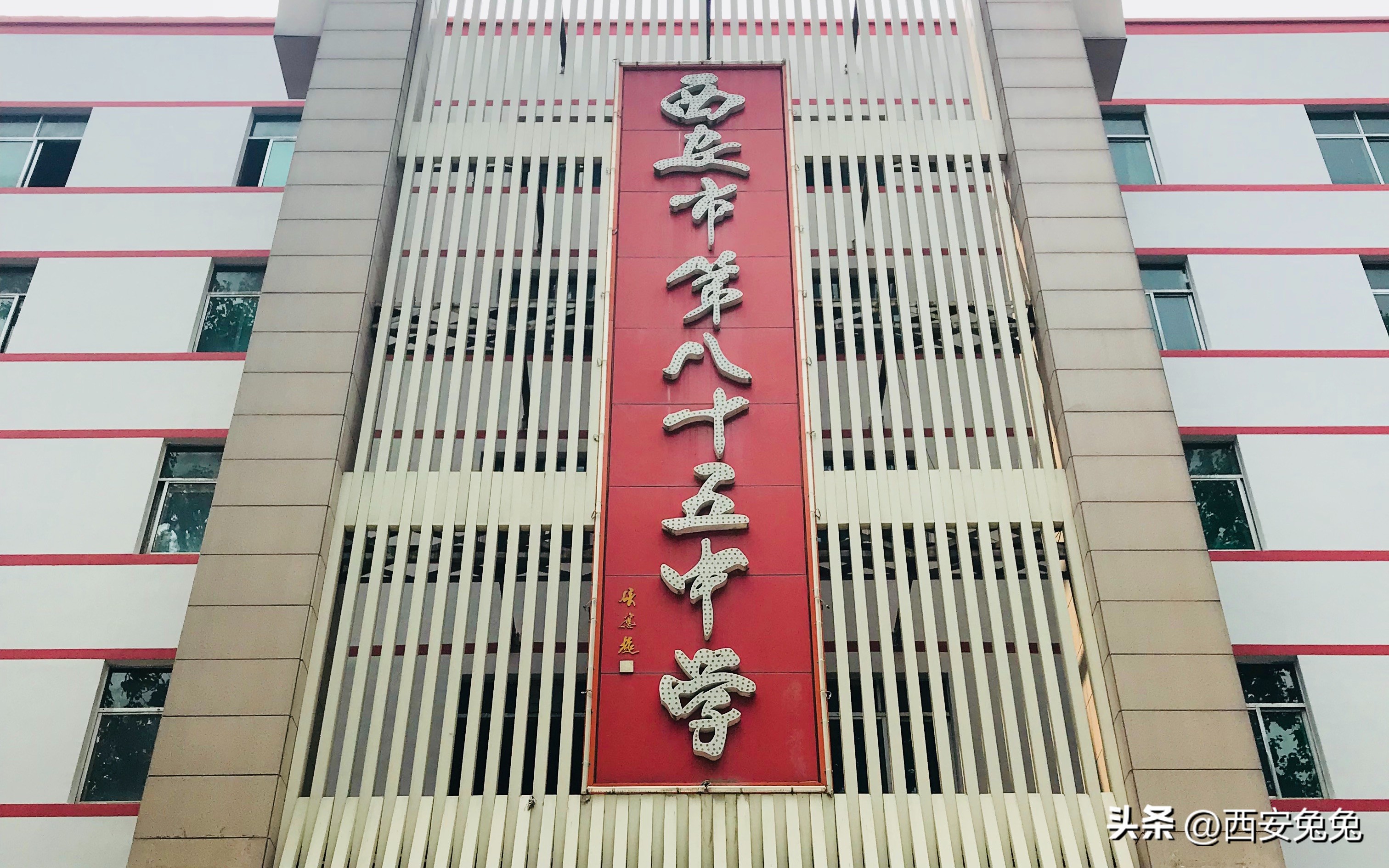 西安2022体育特长生招生,2024年西安市体育特长生招生政策