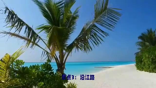 马尔代夫马累岛旅游攻略,马尔代夫首都马累旅游