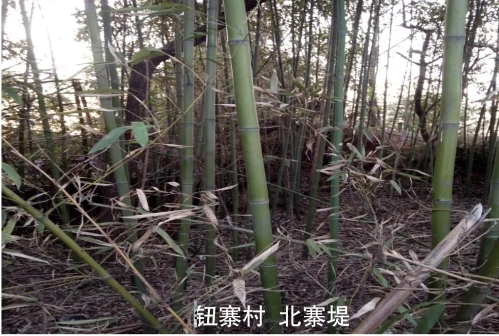 白河湾故事,南阳白河湾故事