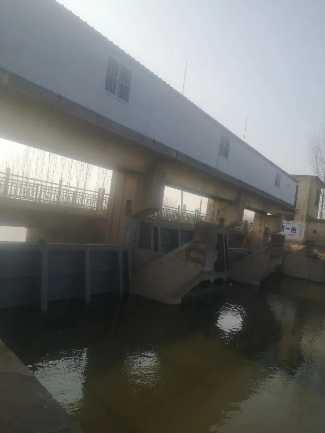 偷偷动了心小说,偷星九月天