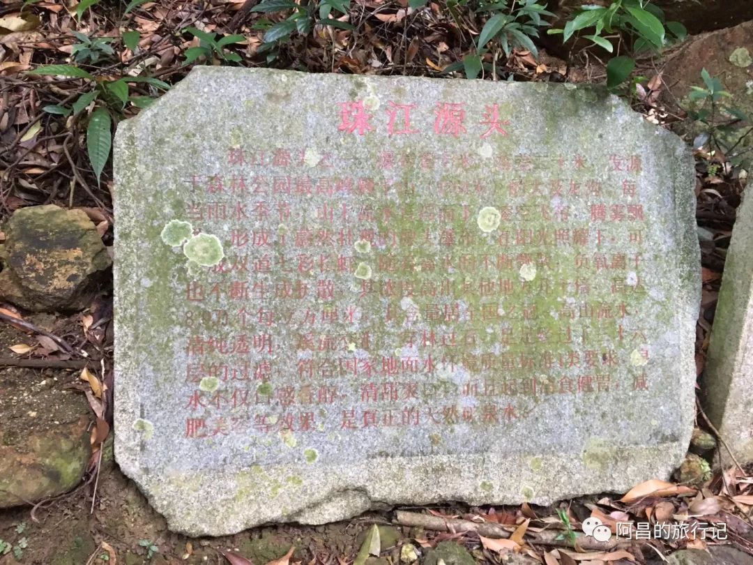 广西十万大山国家森林公园,广西十万大山国家森林公园图片