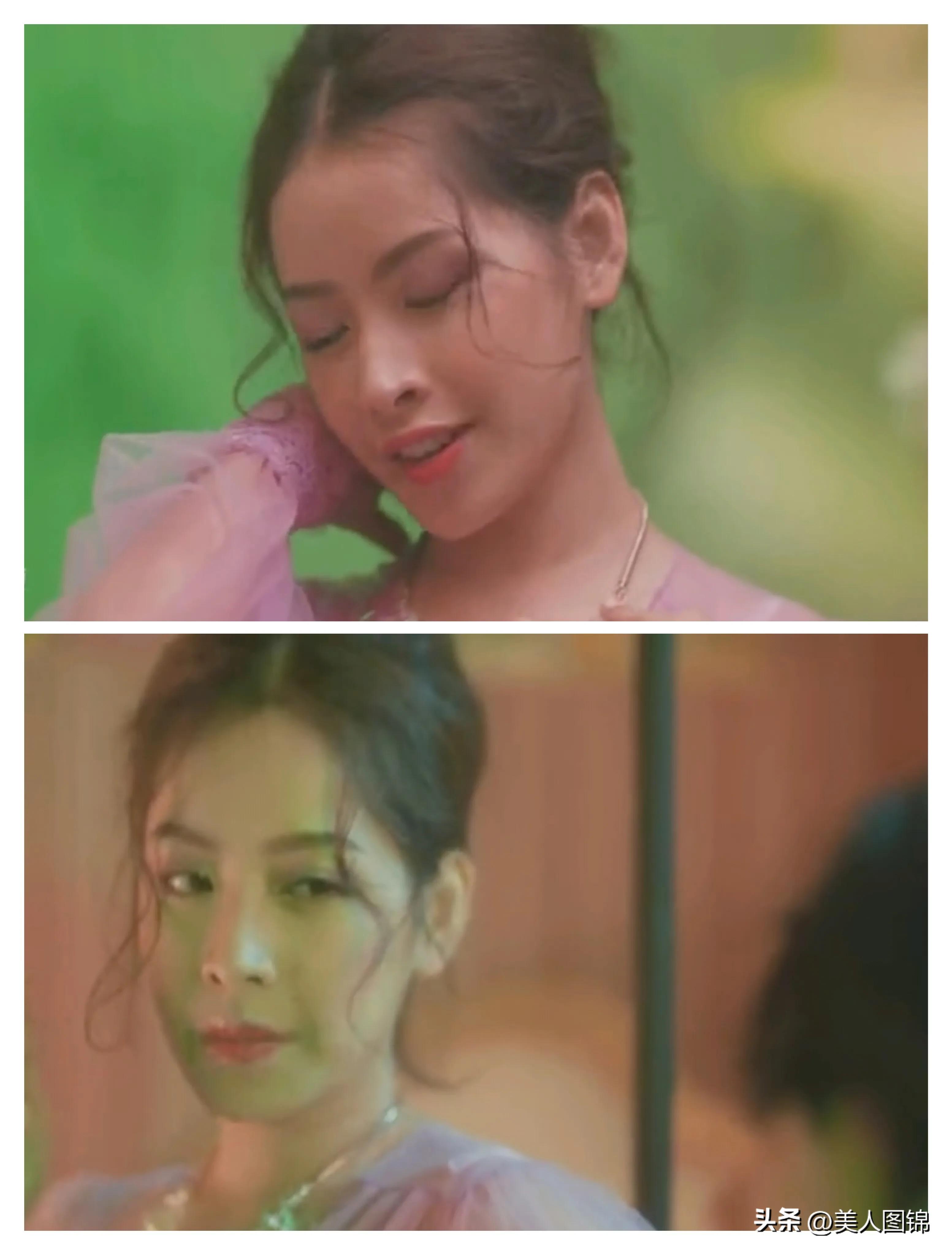 越南芝芙,芝芙越南