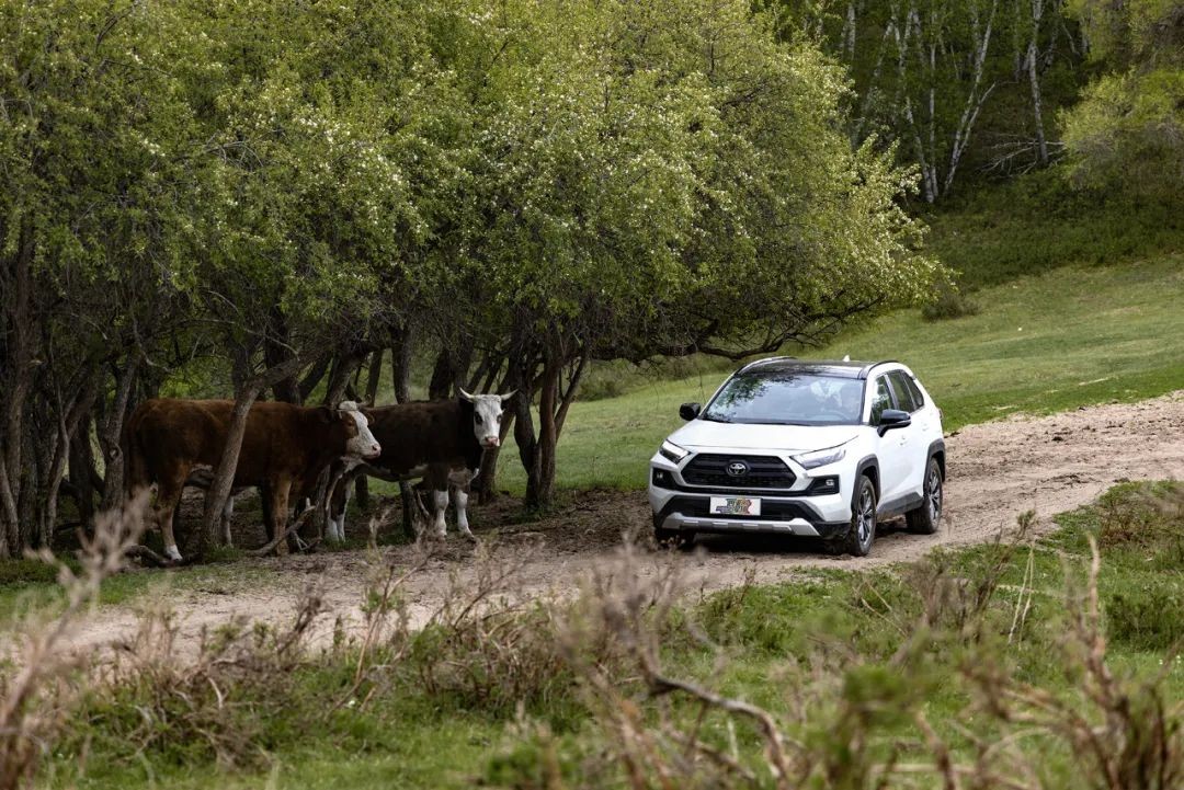 城市suv可以一直选4驱吗,城市suv四驱过炮弹坑