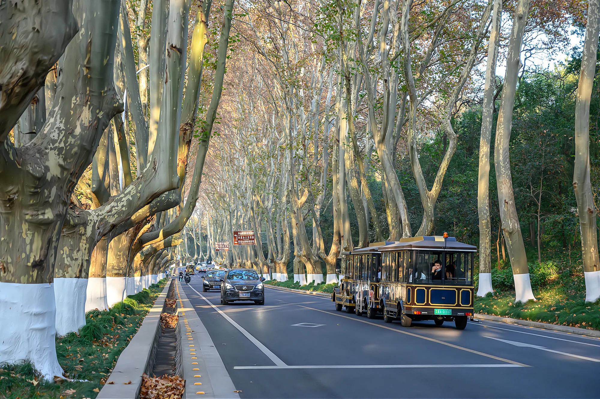 国务院批准南京特大城市吗,中央对南京的扶持