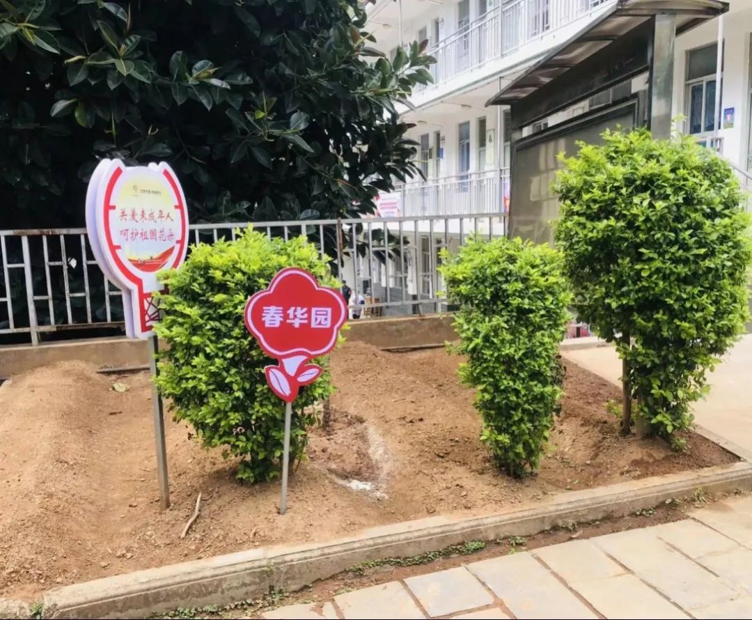 绿美太邑蔬香校园