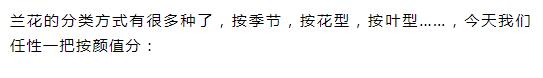 新手盆栽兰花最好选择哪些品种,适合家养的兰花品种有哪些盆栽