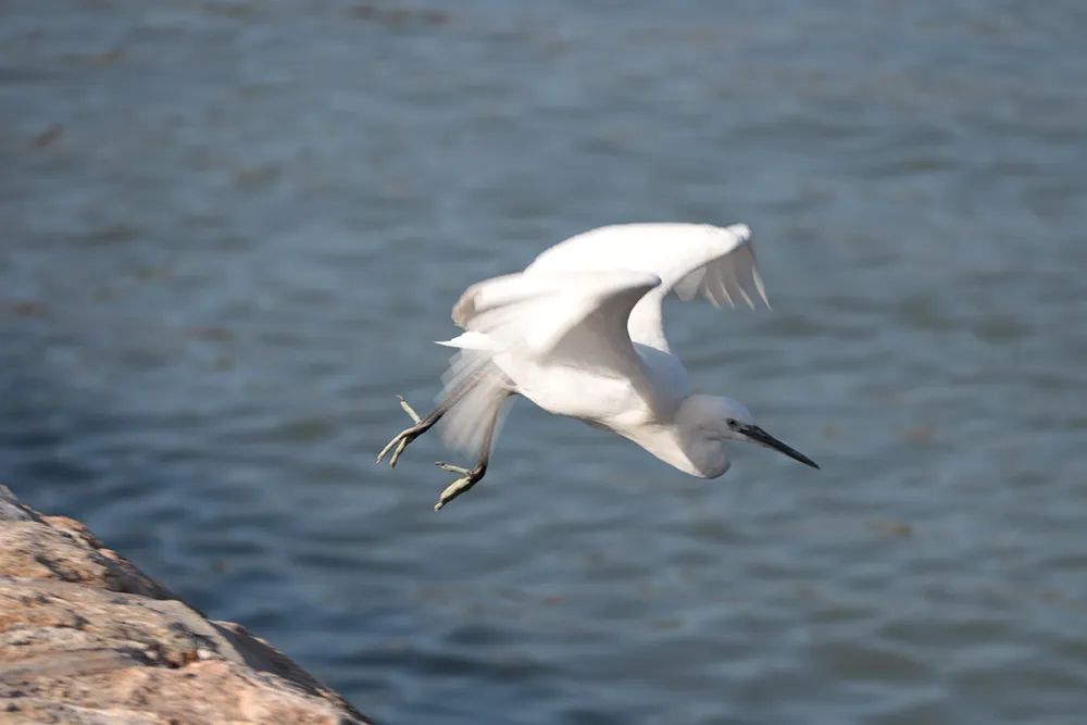 汕头潮州南澳岛旅游攻略,潮州汕头南澳岛自驾游攻略