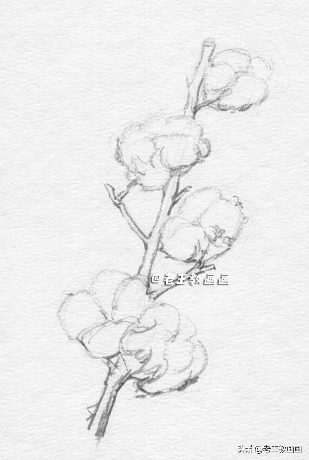 怎么画一个简单的棉花糖,苹果玉米棉花怎么画