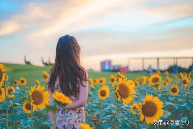 乡土青春小说,乡土小说农村爱情现代