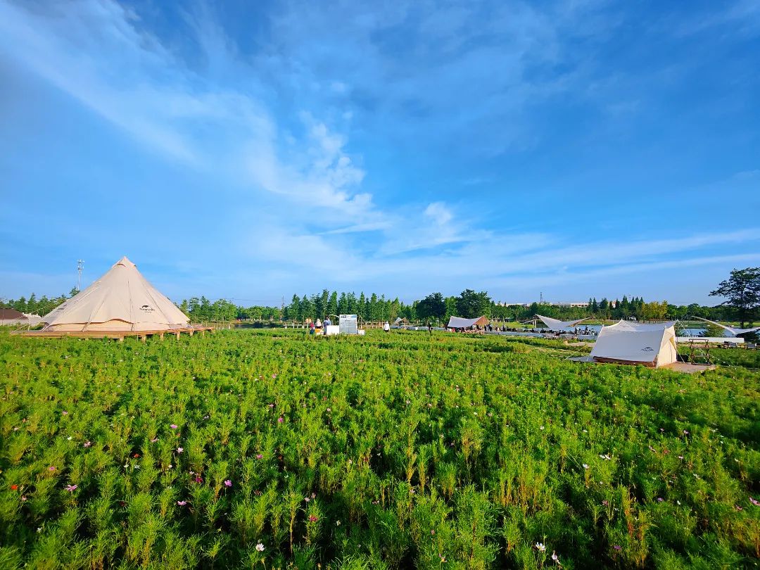 太仓网红打卡地春风十里,网红打卡地太仓也有彩虹路