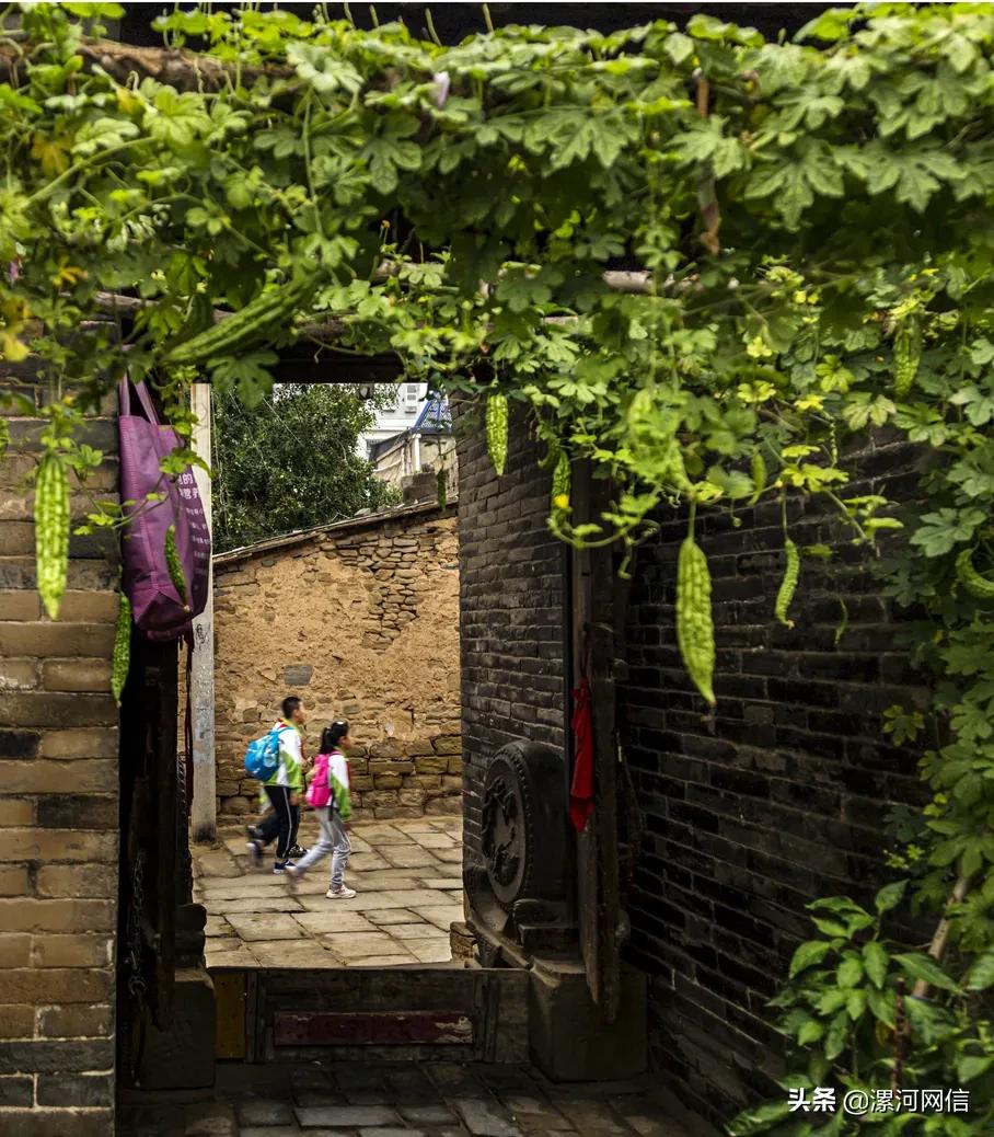 漯河风景摄影展,漯河市近几年的书画展